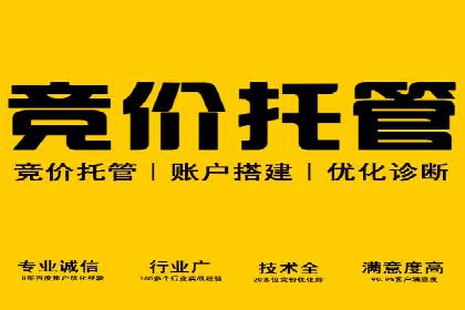 SEM托管优化案例：打造精准广告投放策略